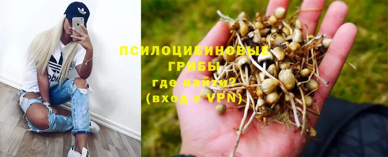 Псилоцибиновые грибы GOLDEN TEACHER  Бавлы 